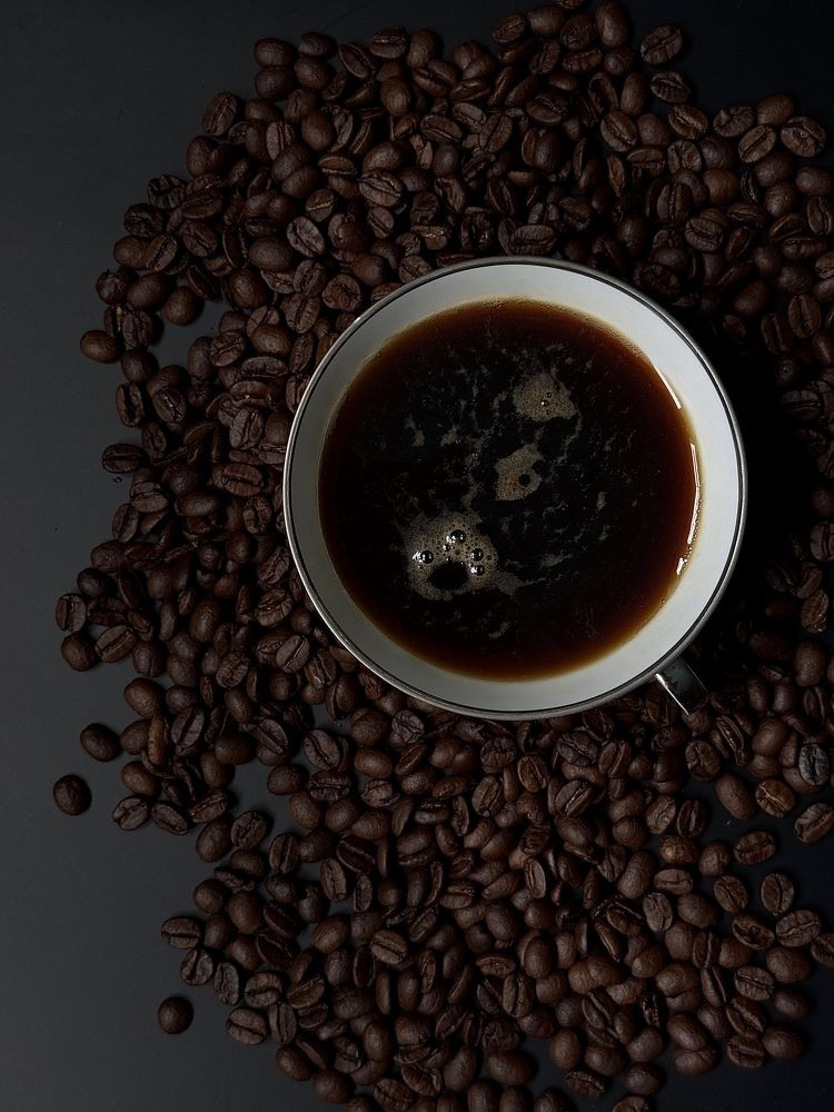 Фотография автора Катерина Иванова