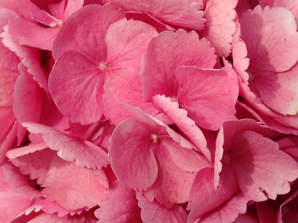 Photograph by Алексей Амилющенко