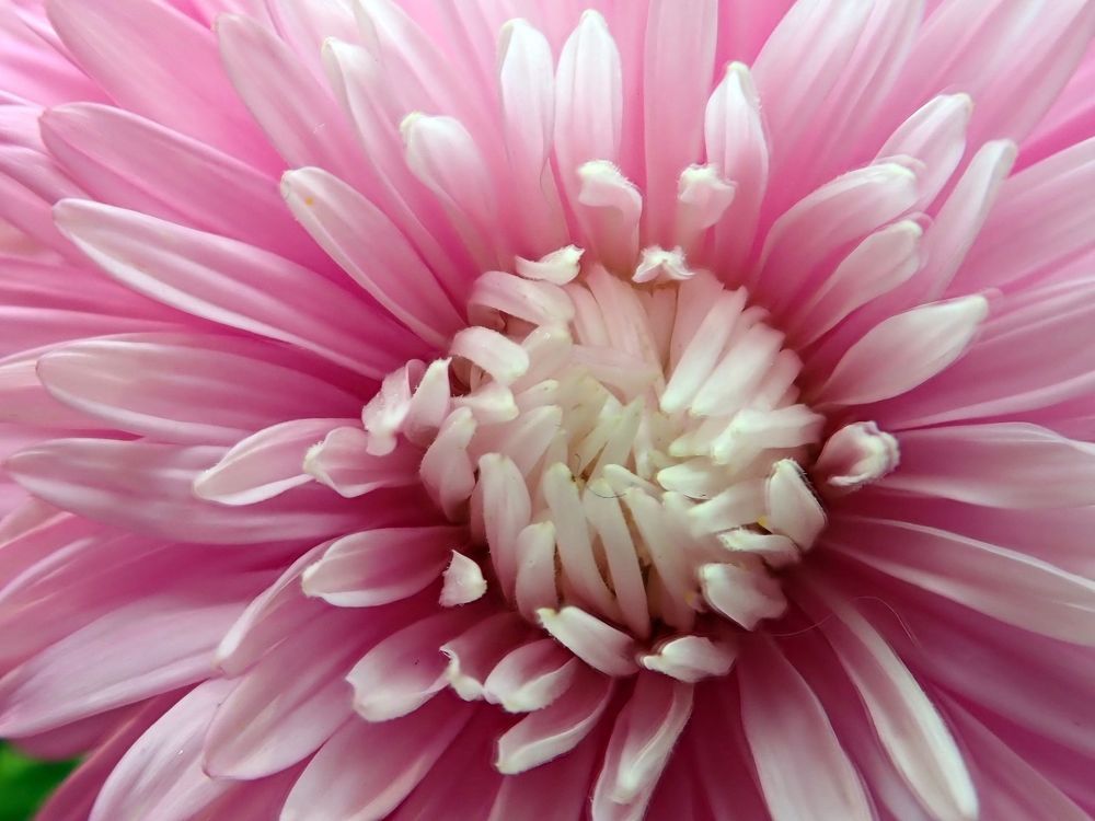 Photograph by Алексей Амилющенко