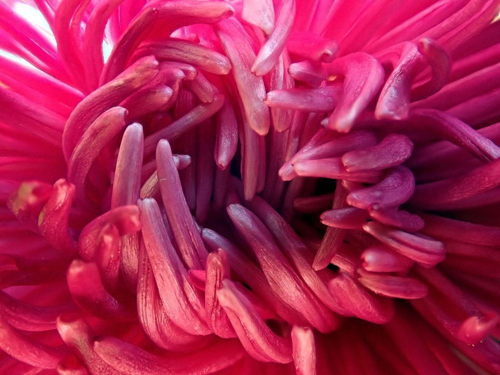 Photograph by Алексей Амилющенко