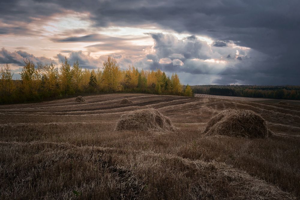 Быть грозе...