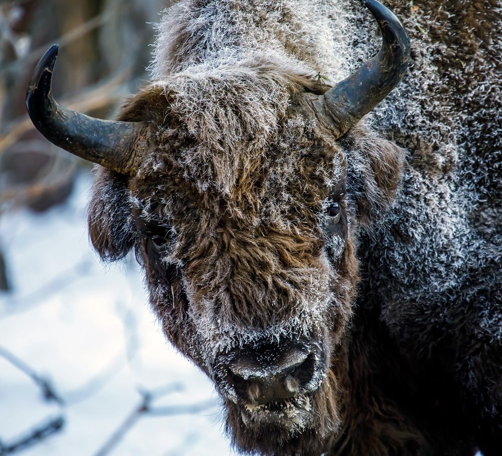 Photograph by Волынский Виктор