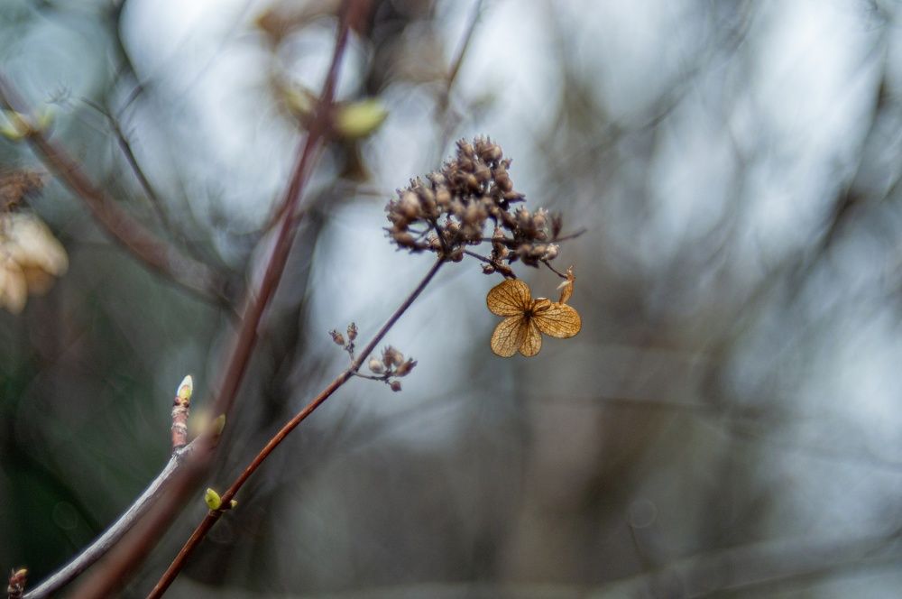 Photograph by Анастасия