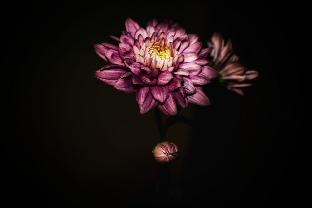 Photograph by Ekaterina