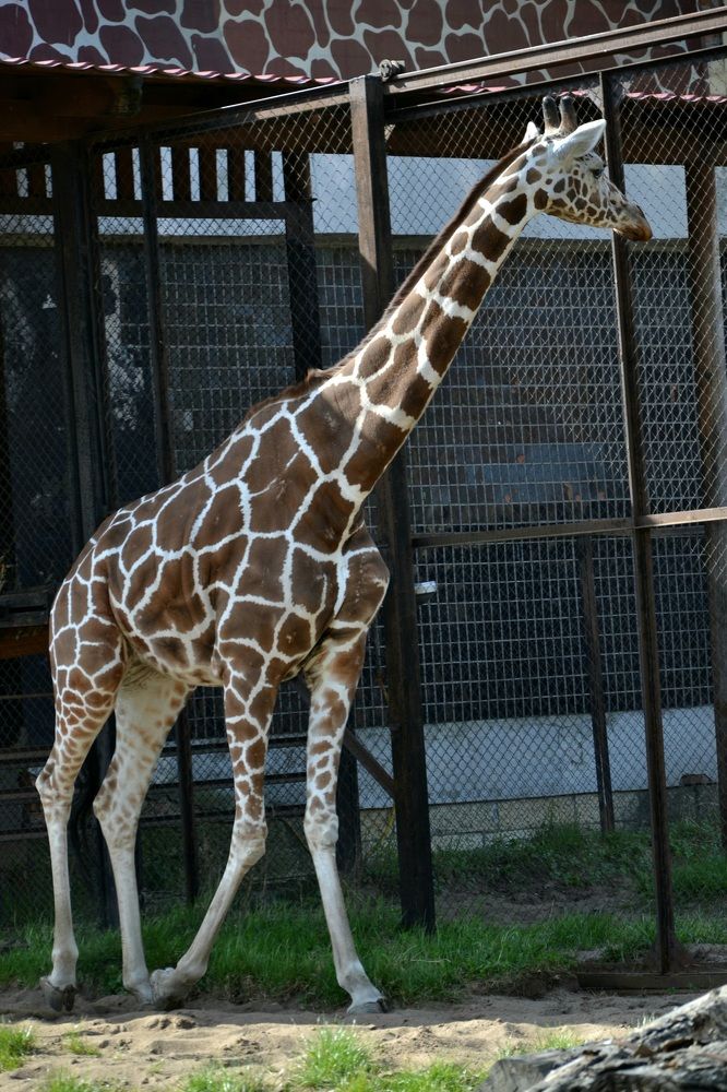 Фотография автора Анатолий Борисенко