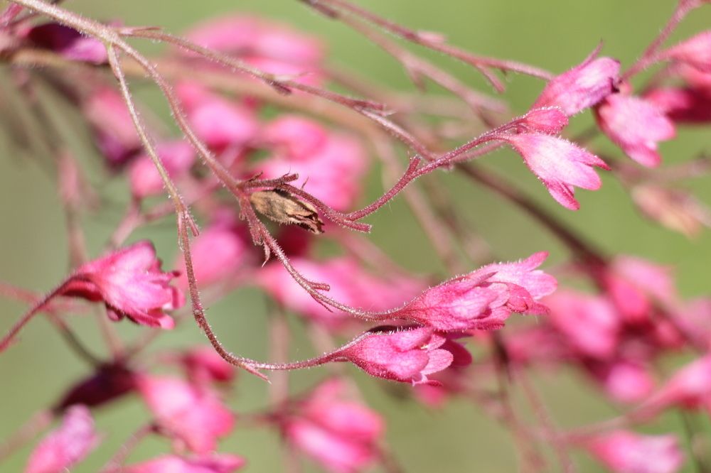 Фотография автора Колосова Елена
