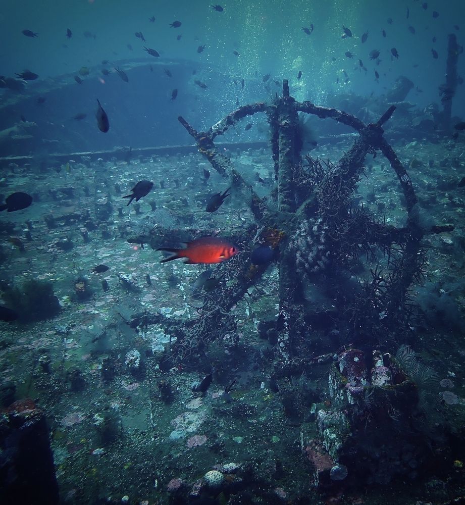 Photograph by Кирилл Леднев