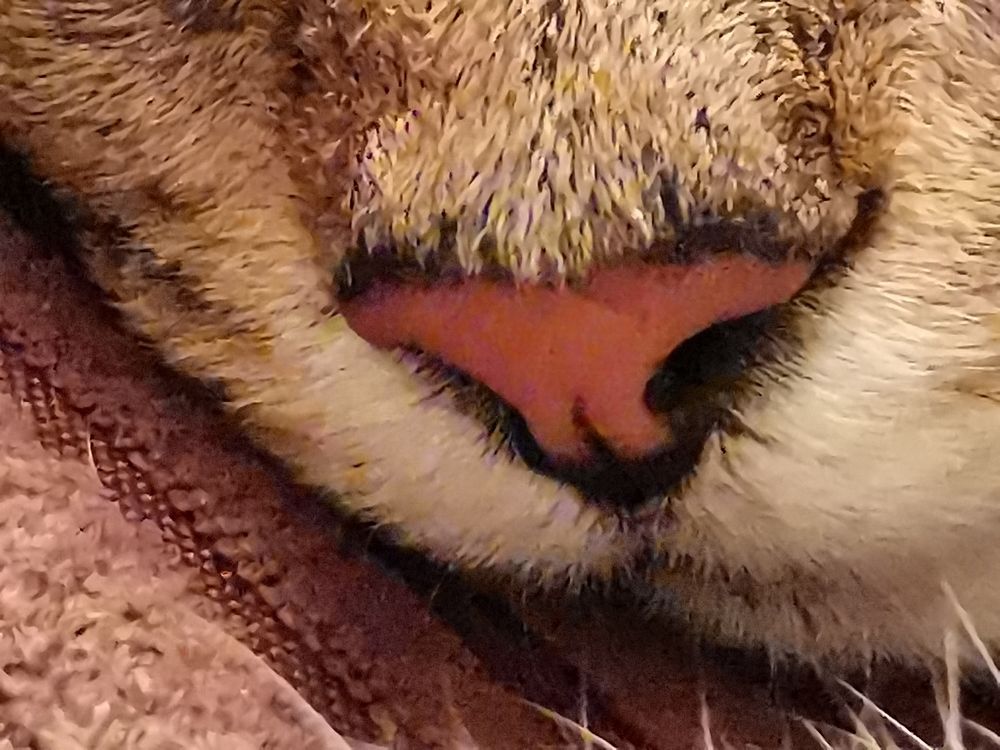 Фотография автора Ian Heard