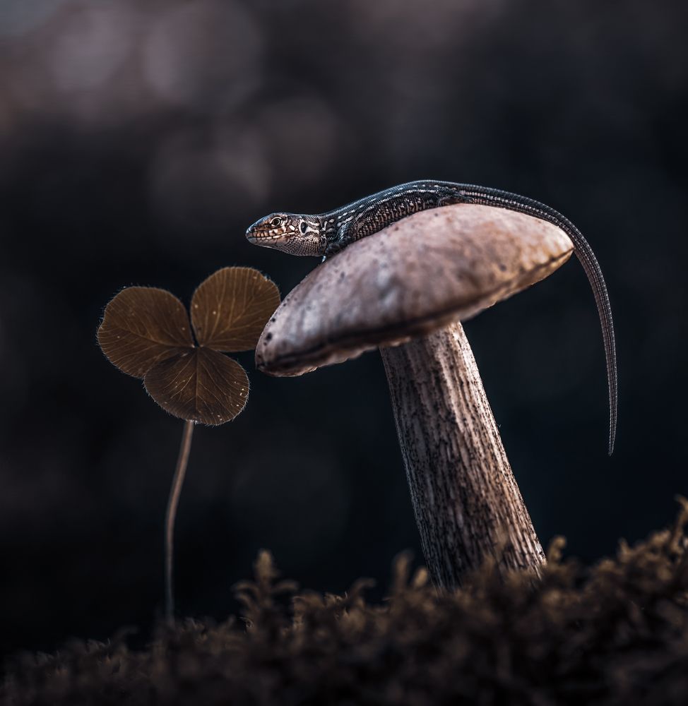 Photograph by Лапшина Владлена