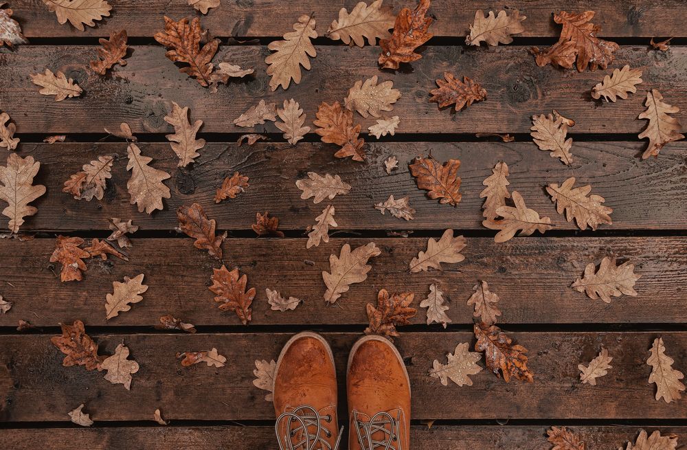 Фотография автора Анастасия Мазурева