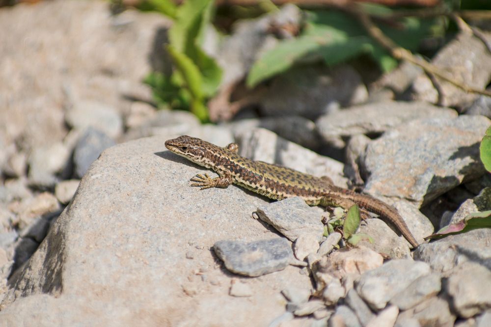 Photograph by Галина Григорьева