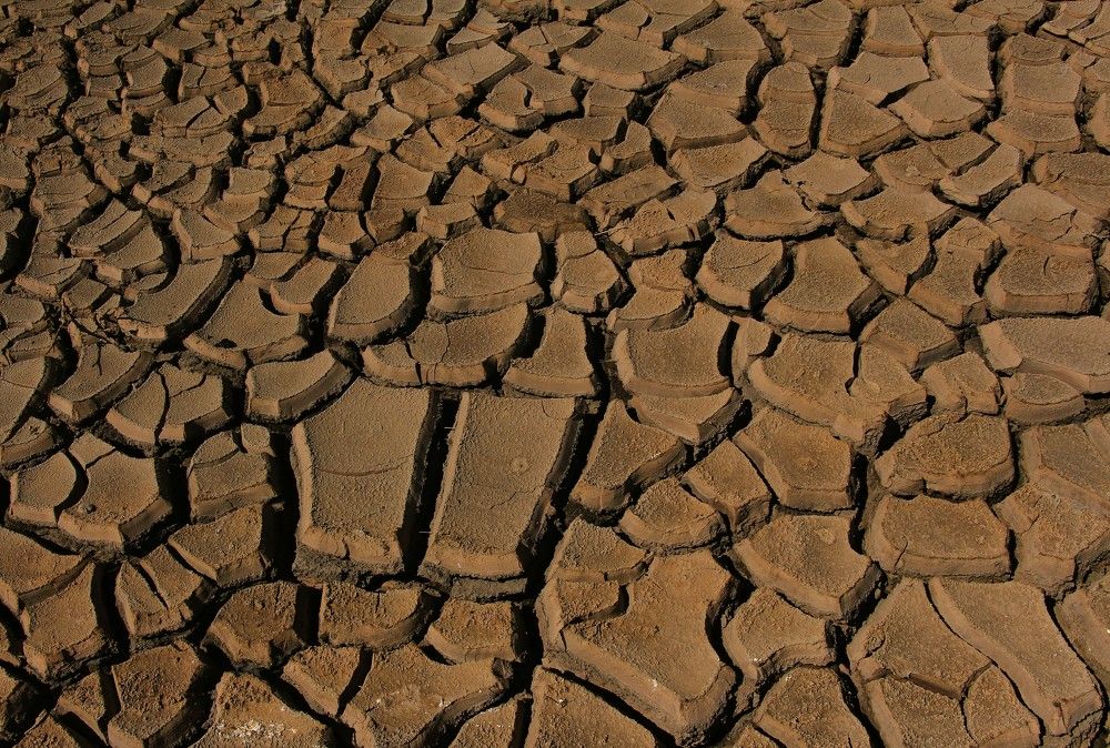 Photograph by Ольга Тимофеева