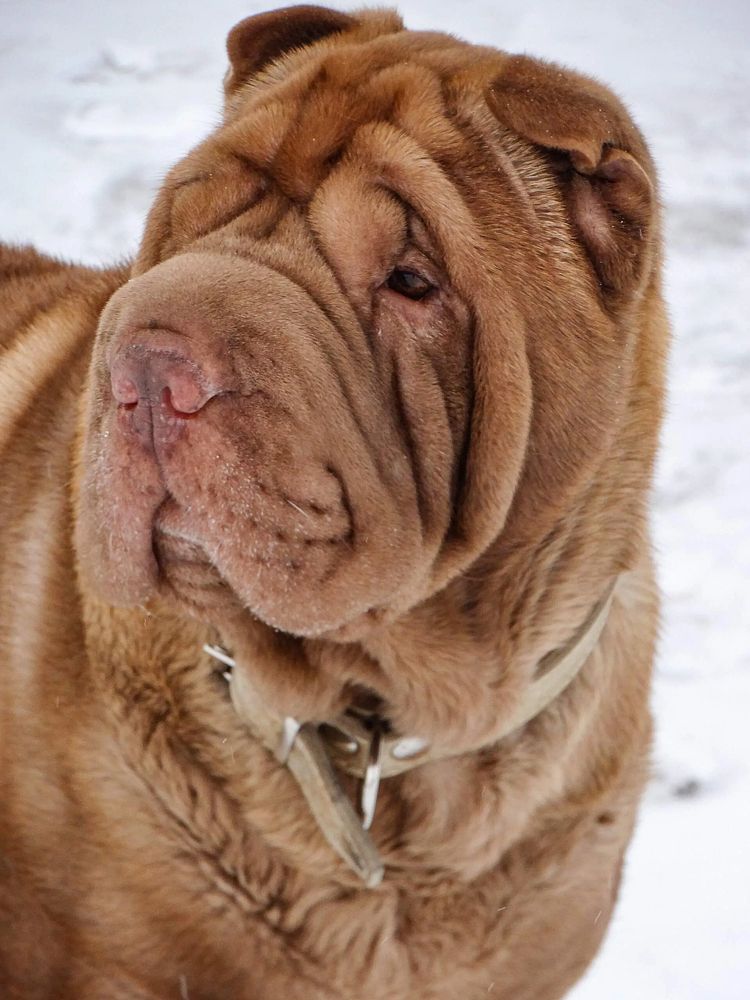 Photograph by Анжелика Трошина