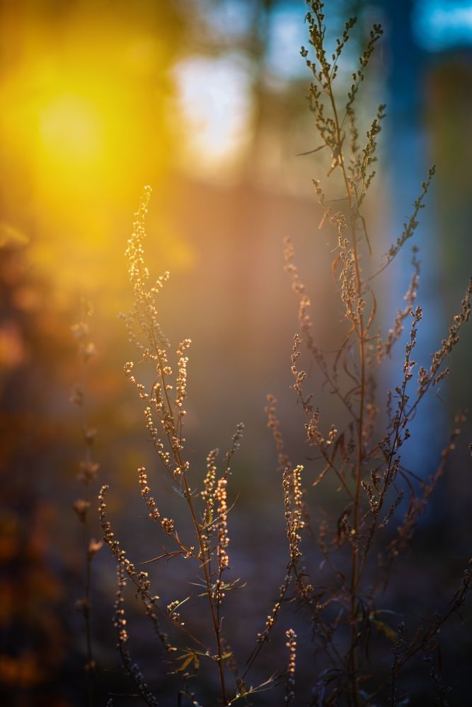 Photograph by Ирина Ященко