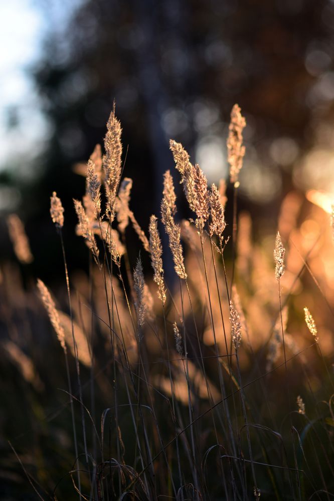 Photograph by Ирина Ященко