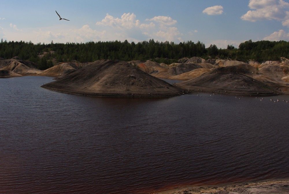 Photograph by Ольга Тимофеева