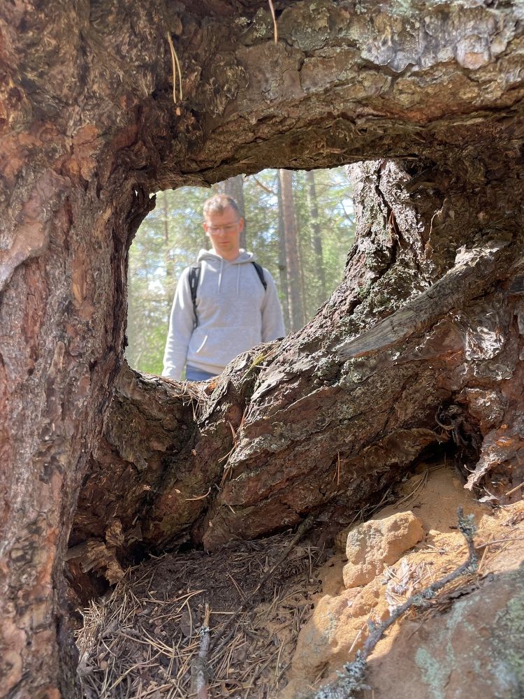 Photograph by Валентина Ивашова