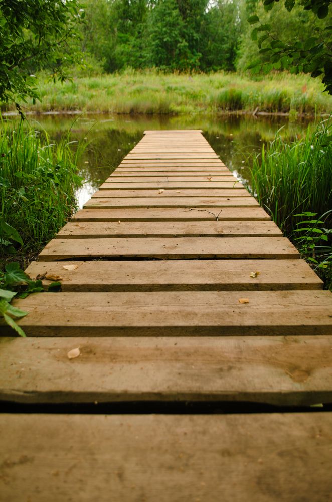 Photograph by Валентина Ивашова