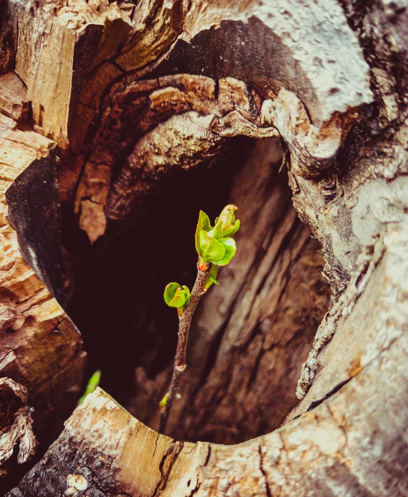 Фотография автора Valerya Vasileva