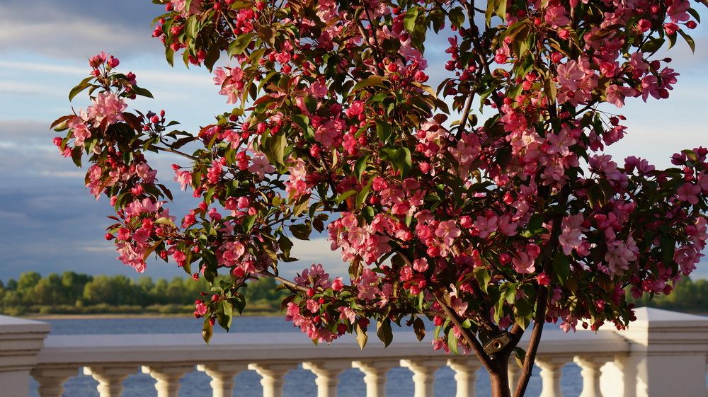 Photograph by Блюмина Елена