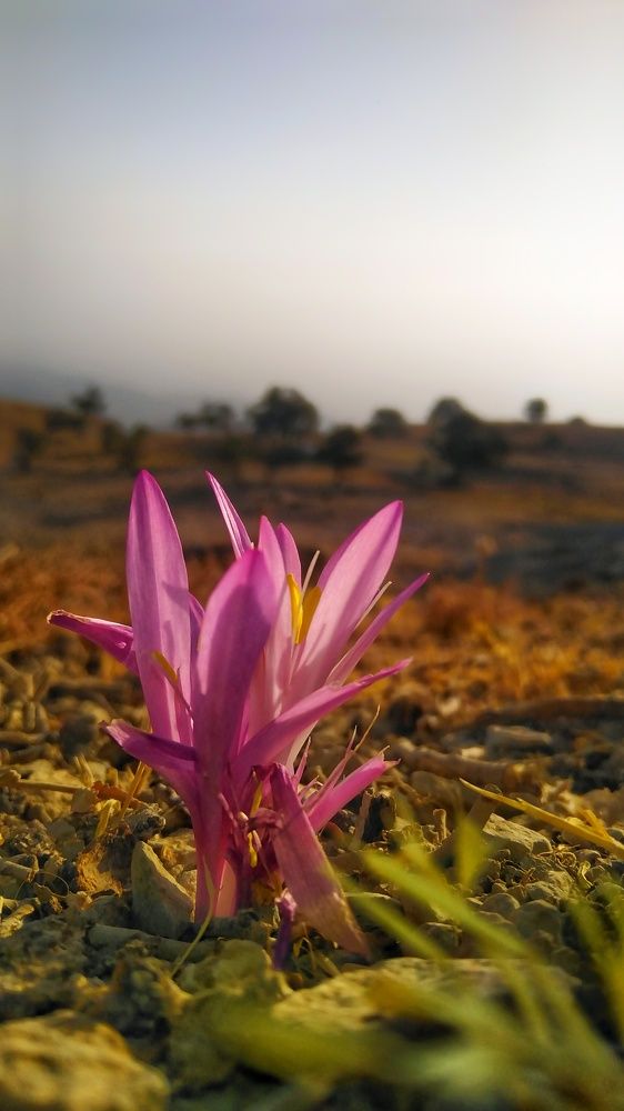 Photograph by Marziyeh Nasiri