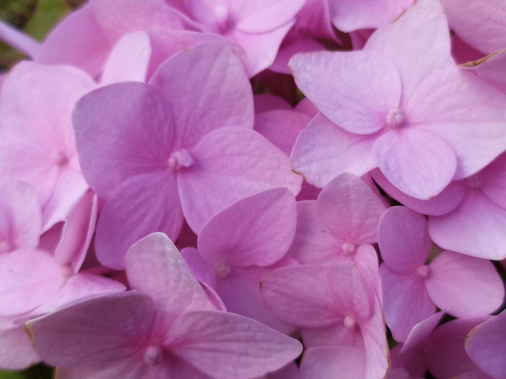 Photograph by Татьяна Клемба