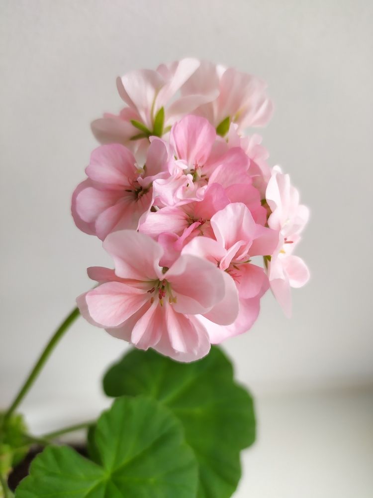 Photograph by Татьяна Клемба