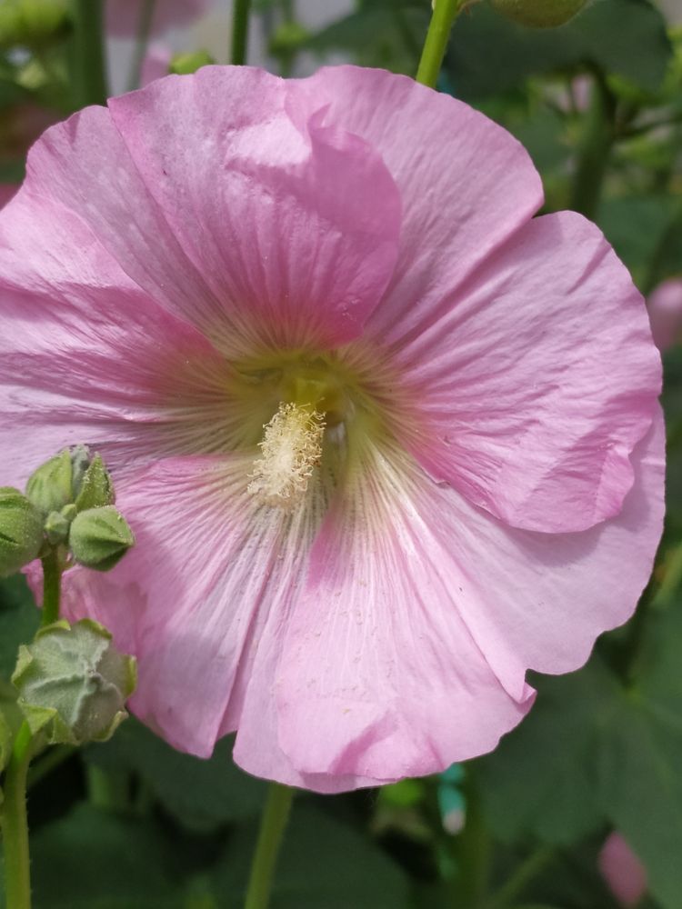 Photograph by Татьяна Клемба