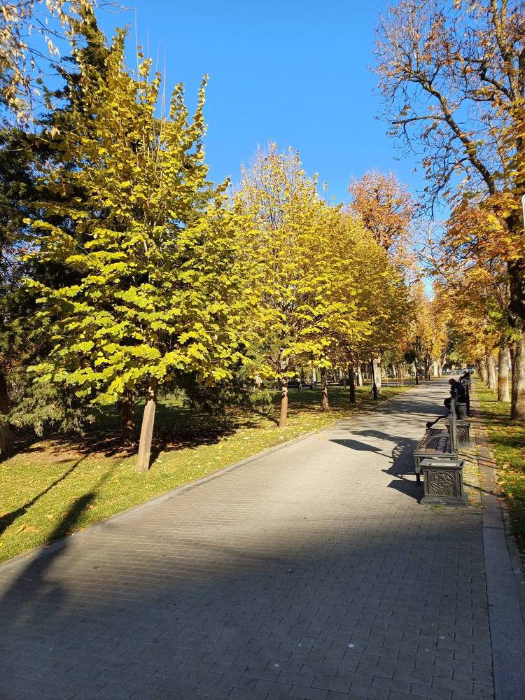 Photograph by Елена Казаренко