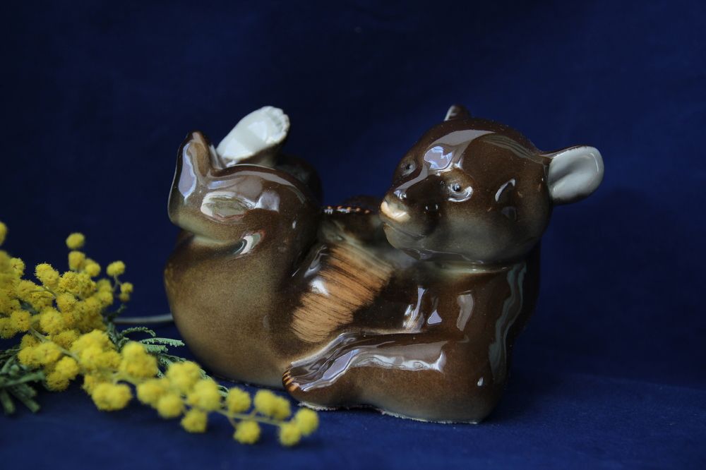 Фотография автора Колосова Елена