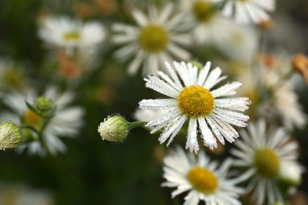 Photograph by Елена Катунина