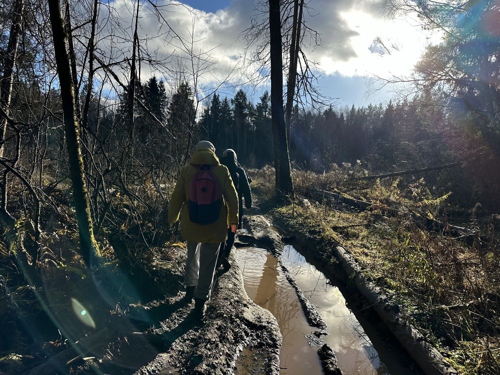 Photograph by Светлана Ионова