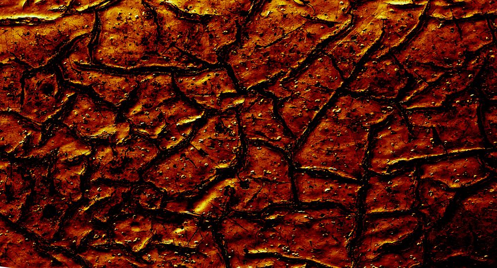 Brown-yellow surface with deep black cracks