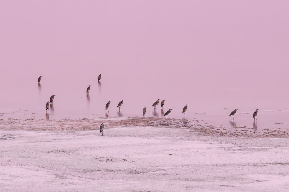 Photograph by Алёна Газукина