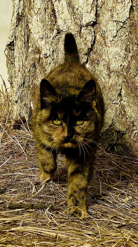 Photograph by Batsaikhan Badamdorj