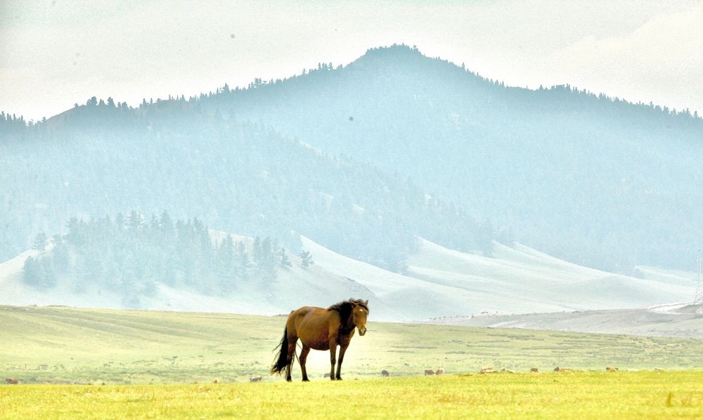 Photograph by Batsaikhan Badamdorj