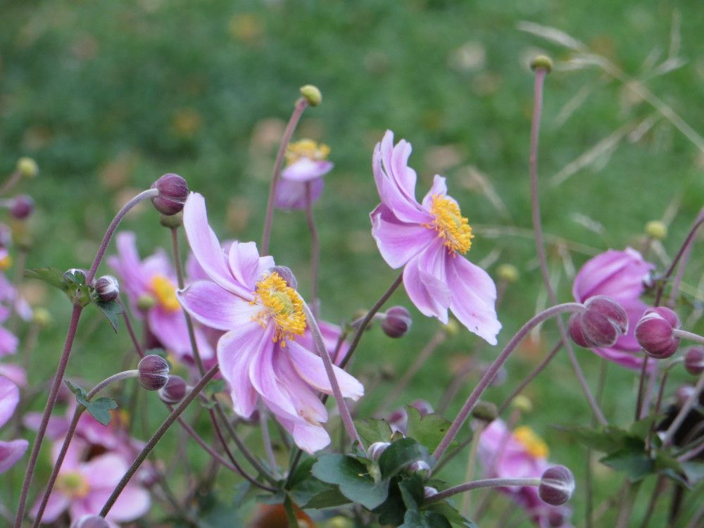 Photograph by Татьяна Поминова