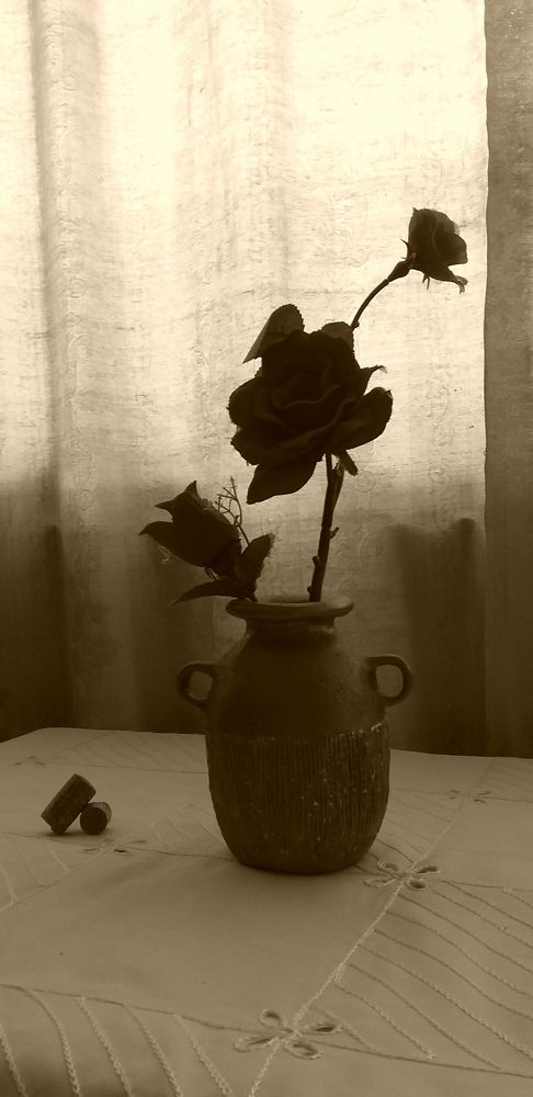 Фотография автора Adriana Rocha