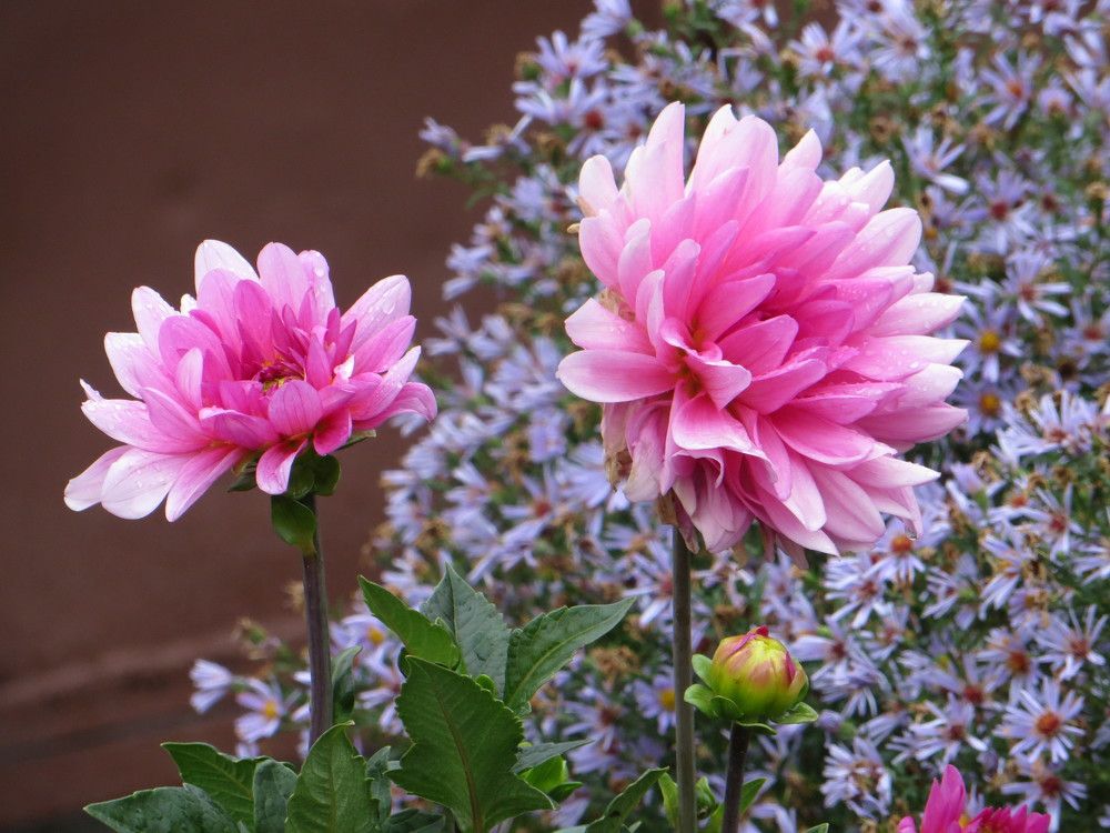 Photograph by Татьяна Поминова