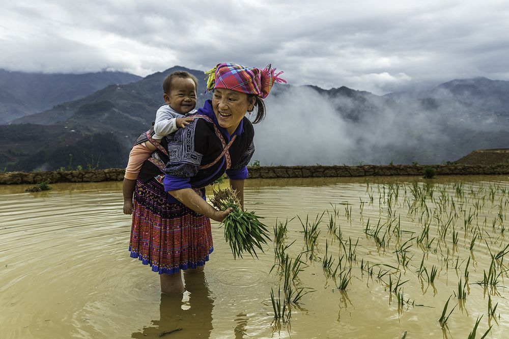 Photograph by NGUYEN HAI