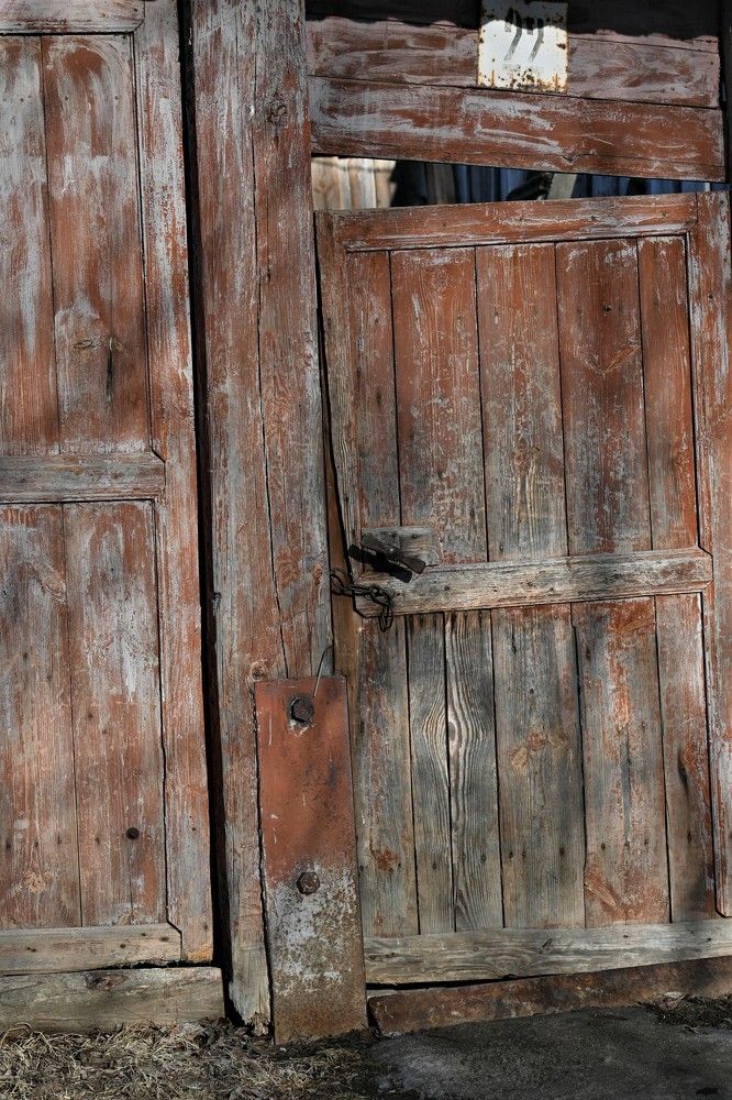 Фотография автора IRINA FILIPPOVA