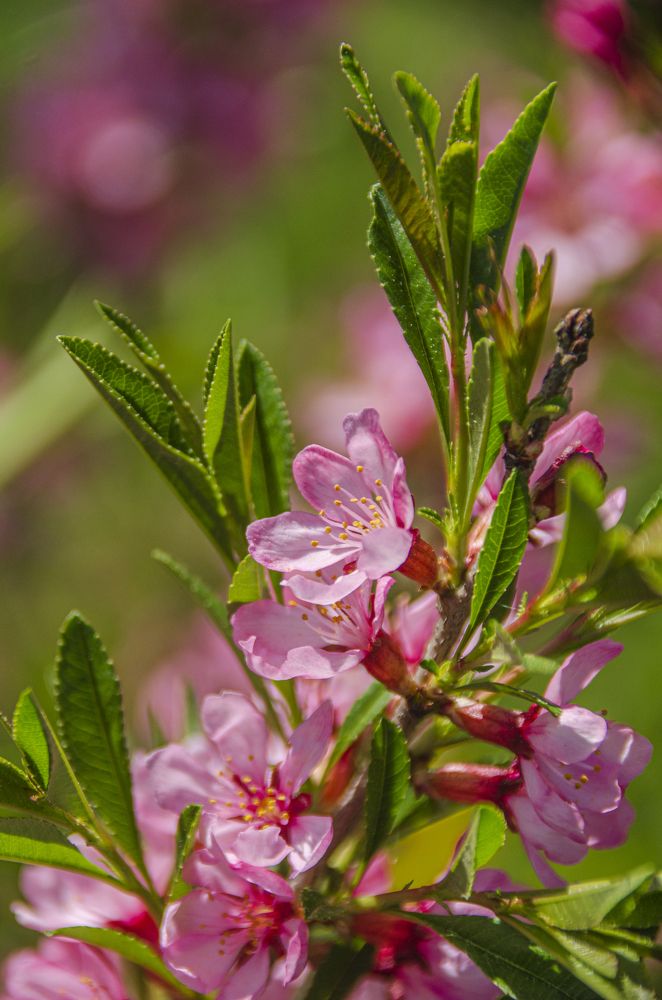 Photograph by Надежда Михайлина