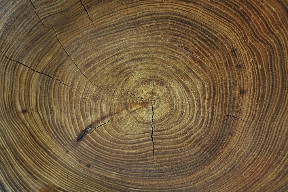 Photograph by Зорин Миша