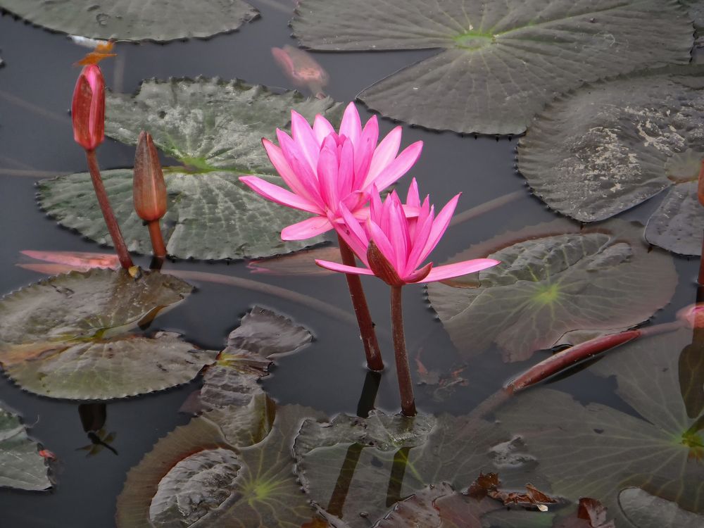 Photograph by Илья