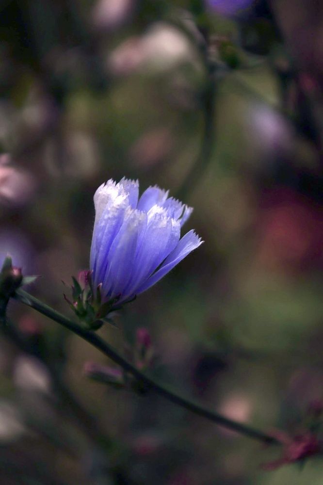 Photograph by Татьяна Смирнова