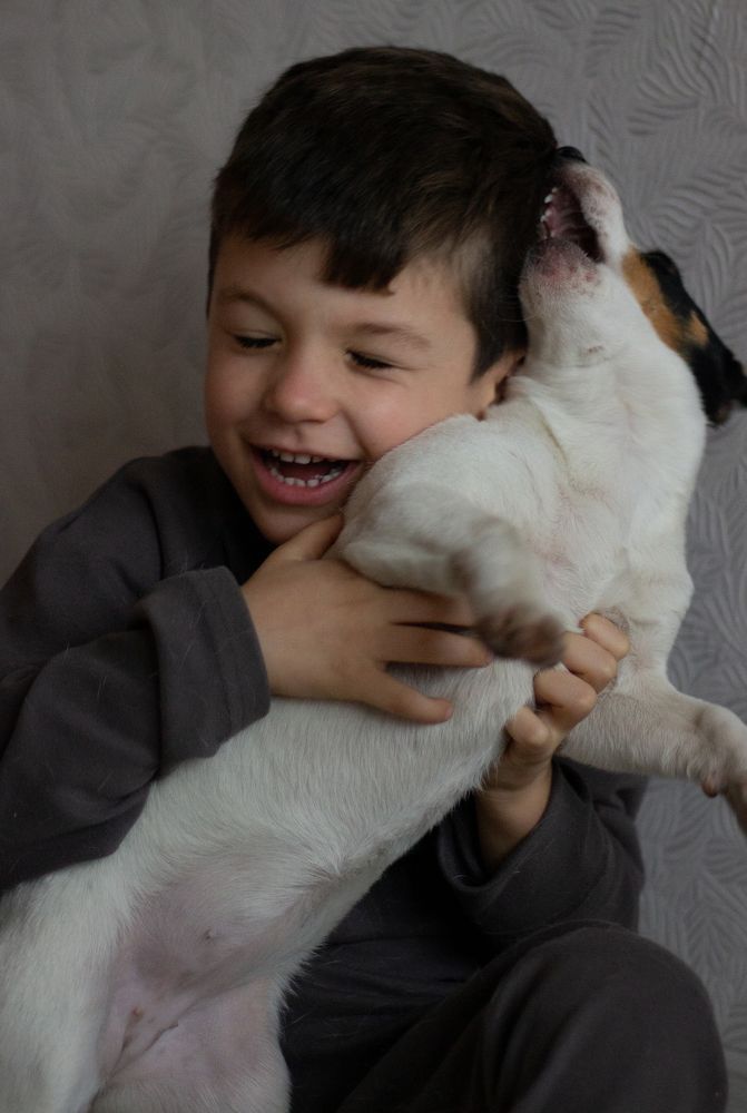 Photograph by Людмила Ящишина