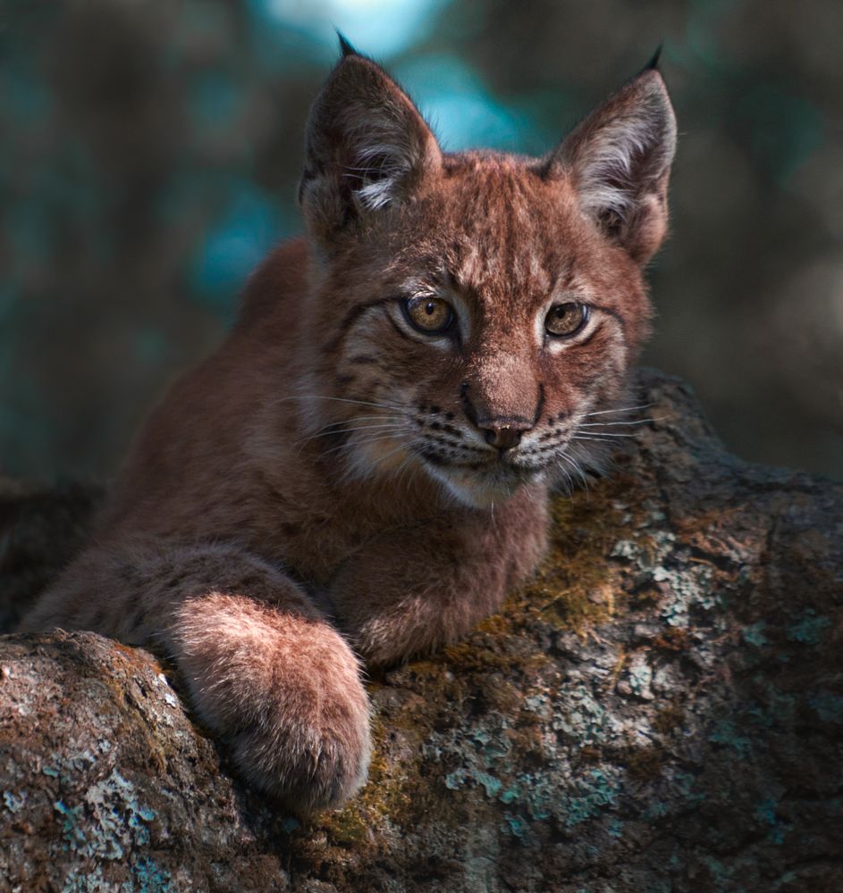 Photograph by Светлана Алексеева