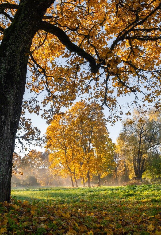 Photograph by Agita Leimane