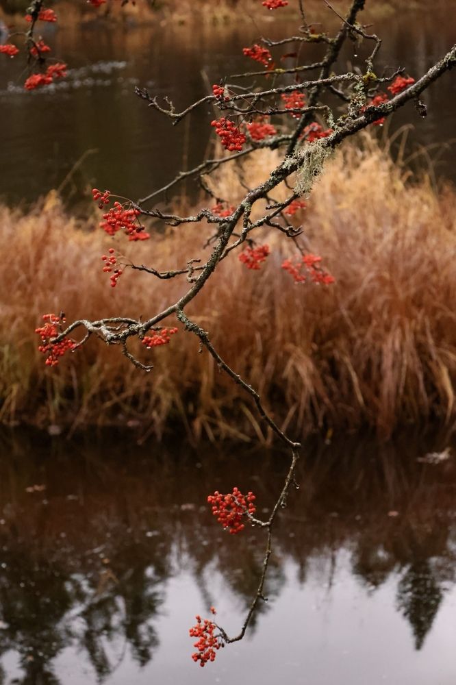 Photograph by Татьяна Смирнова