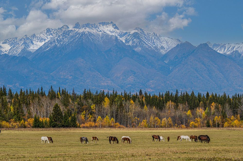 Photograph by Юрий Борик